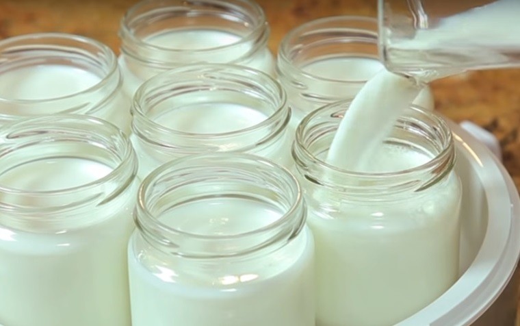 huong dan cach u sua chua 4 huớng dẫn cách ủ sữa chua 4
