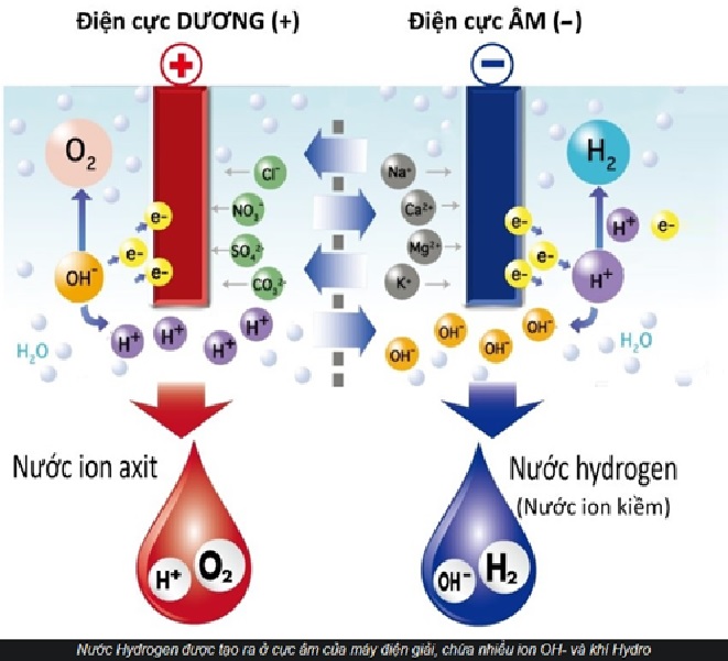 Phân biệt nước kiềm, nước ion kiềm, nước ion kiềm giàu hydrogen
