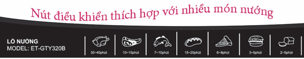 lò nướng nhiều chế độ