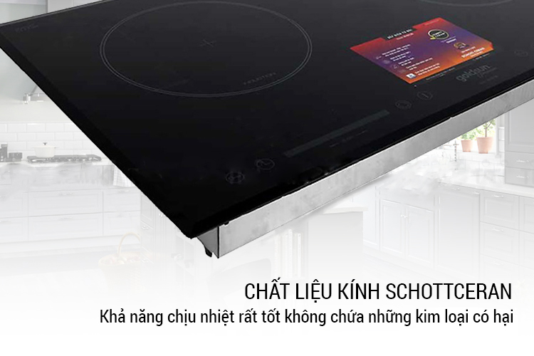 Bếp điện từ đôi IH-GYL29