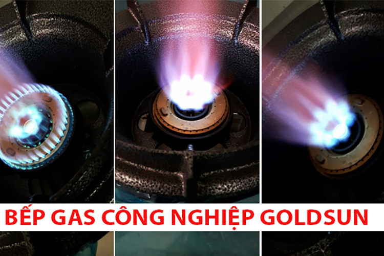 Bếp gas công nghiệp Goldsun GS-CN5A2