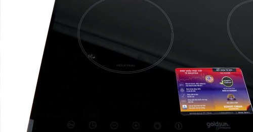 Bếp điện từ đôi IH-GYL998