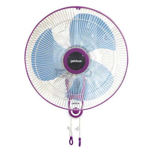 Quạt điện treo tường 2 dây CA4302