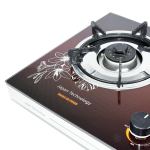 Bếp gas dương Goldsun GS-705GB