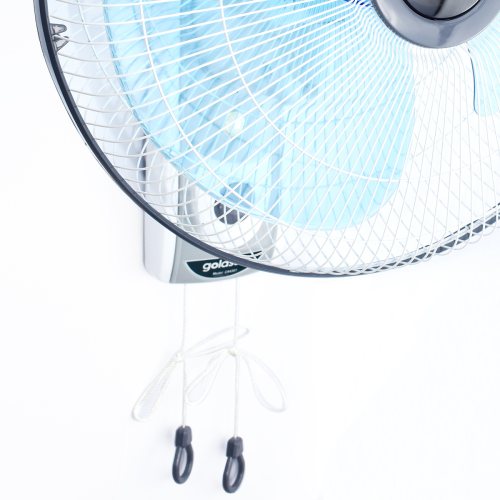 Quạt điện treo tường Goldsun CA4301