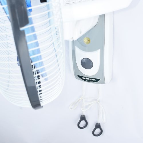 Quạt điện treo tường Goldsun CA4301