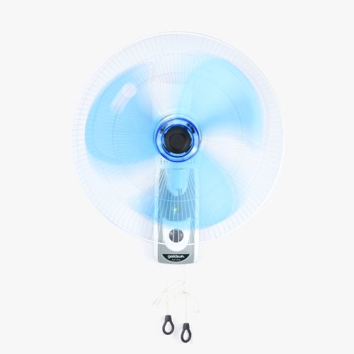 Quạt điện treo tường Goldsun CA4301