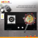 Chảo chống dính Goldsun GPA1200-28