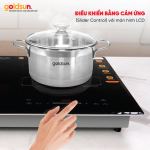 Bếp từ Goldsun GDI7411