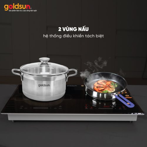 Bếp từ Goldsun GDI7411