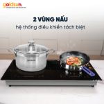 Bếp từ Goldsun GDI7411
