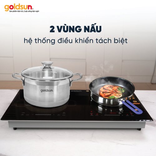 Bếp từ Goldsun GDI7411