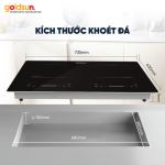 Bếp từ Goldsun GDI7411