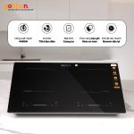 Bếp từ Goldsun GDI7411