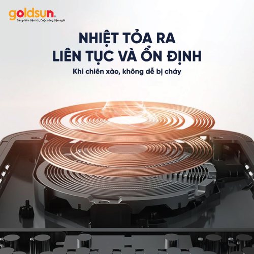 Bếp từ cảm ứng Goldsun GIC3205-D 2000W