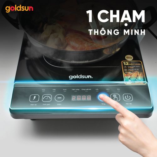Bếp từ cảm ứng Goldsun GIC3205-D 2000W