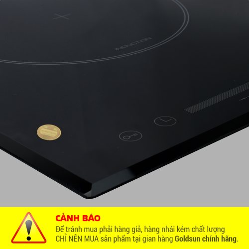 Bếp điện từ đôi IH-GYL29