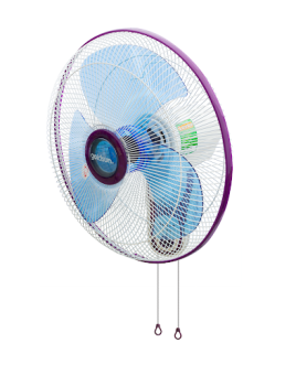 Quạt điện treo tường 2 dây CA4302